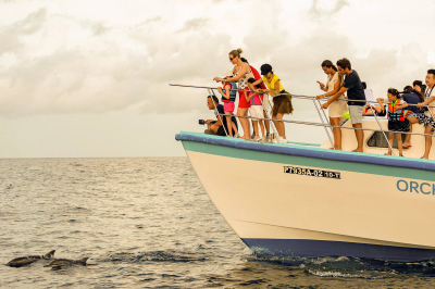 Sunset Dolphin Cruise